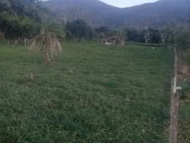 Imagem 9: Chácara Agrovila das Palmeiras