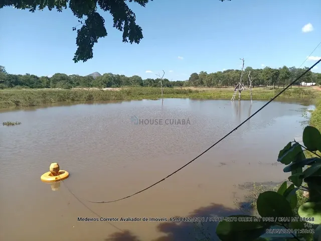 Imagem: Sitio com 10 Hectares de Porteira Fechada