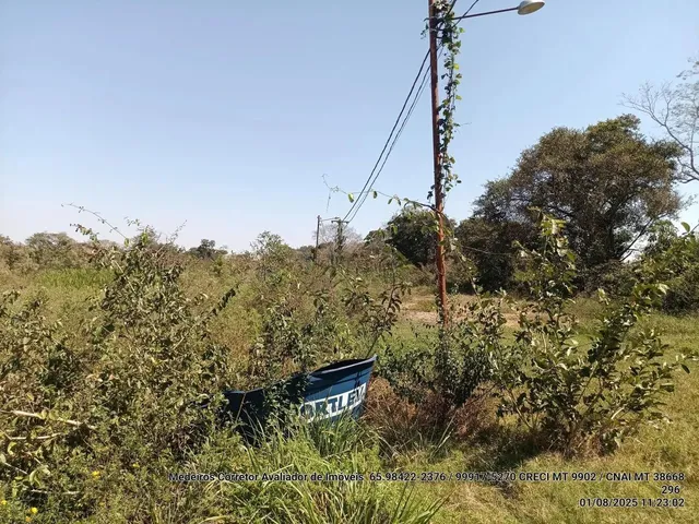 Imagem 16: Vendo!!! Um Sitio de 10.63 Hectares na Região da Canoa Quebrada no Município Da