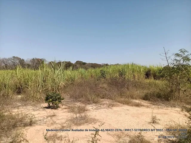 Imagem 5: Vendo!!! Um Sitio de 10.63 Hectares na Região da Canoa Quebrada no Município Da