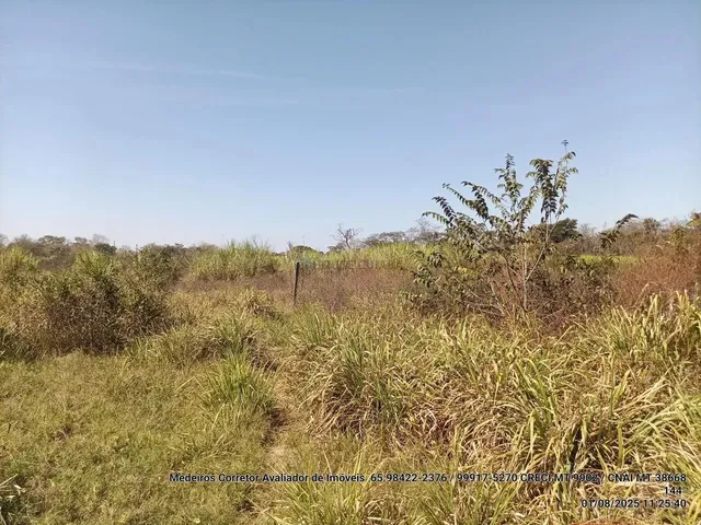 Imagem 2: Vendo!!! Um Sitio de 10.63 Hectares na Região da Canoa Quebrada no Município Da