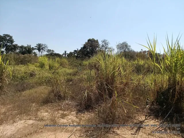Imagem 4: Vendo!!! Um Sitio de 10.63 Hectares na Região da Canoa Quebrada no Município Da