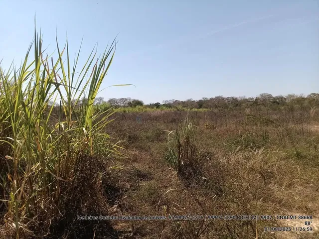 Imagem 10: Vendo!!! Um Sitio de 10.63 Hectares na Região da Canoa Quebrada no Município Da