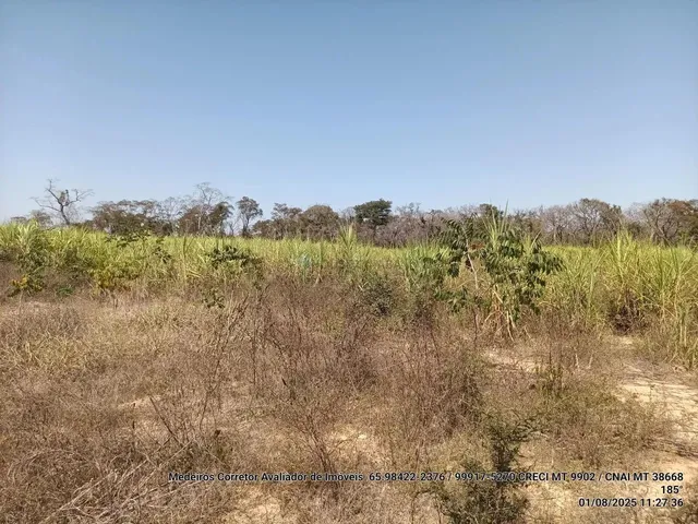Imagem 15: Vendo!!! Um Sitio de 10.63 Hectares na Região da Canoa Quebrada no Município Da