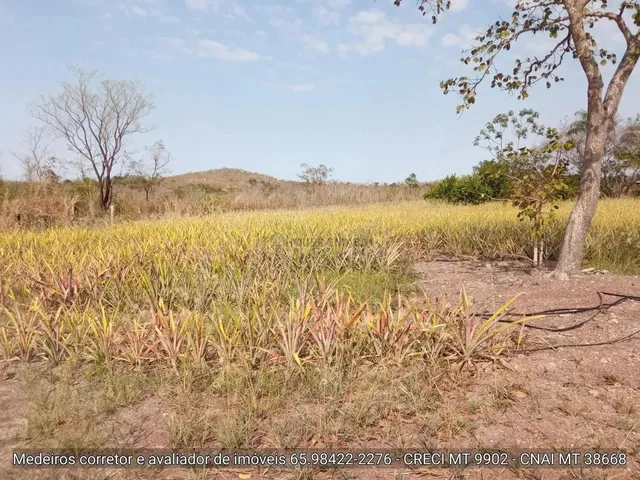Imagem 7: Sítio de 34 Hectares no Assentamento Comunidade Sadia 3