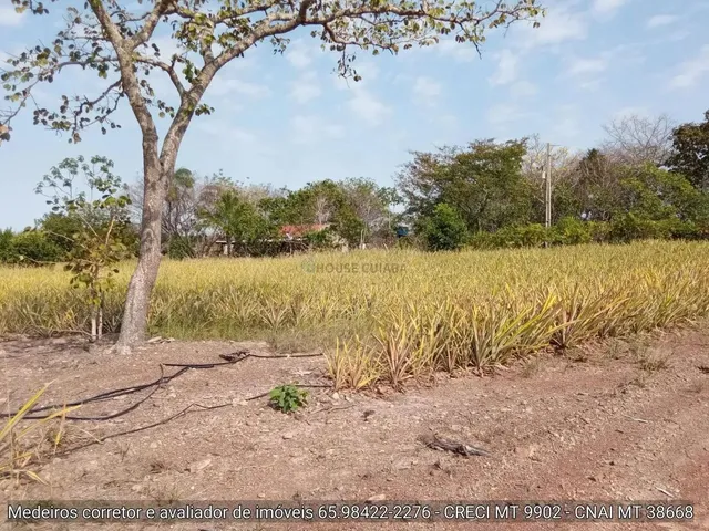 Imagem 9: Sítio de 34 Hectares no Assentamento Comunidade Sadia 3