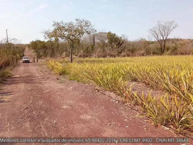 Imagem 10: Sítio de 34 Hectares no Assentamento Comunidade Sadia 3