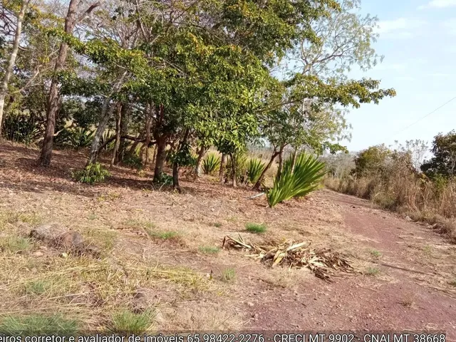 Imagem 5: Sítio de 34 Hectares no Assentamento Comunidade Sadia 3