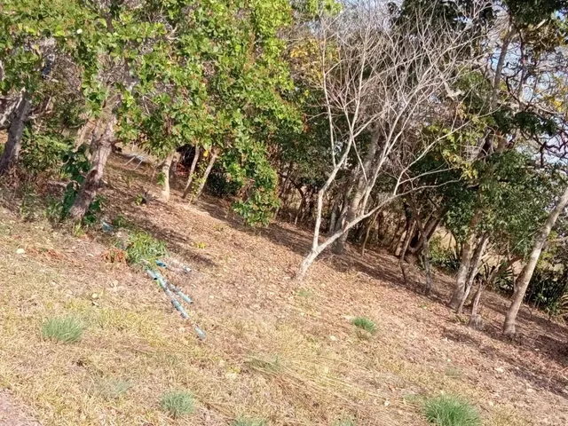Imagem 13: Sítio de 34 Hectares no Assentamento Comunidade Sadia 3
