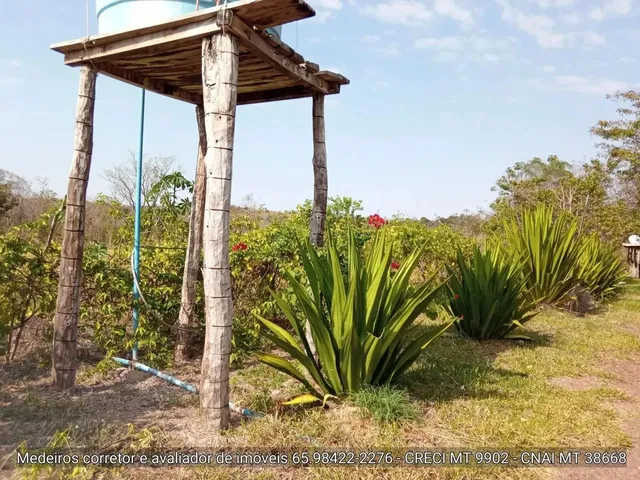 Imagem 11: Sítio de 34 Hectares no Assentamento Comunidade Sadia 3