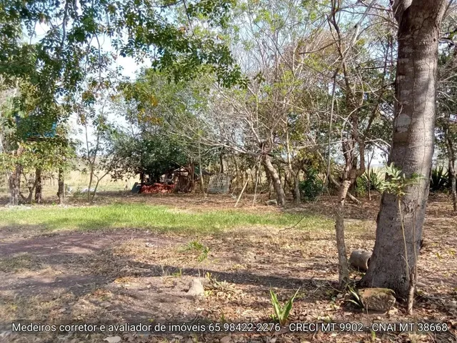 Imagem 15: Sítio de 34 Hectares no Assentamento Comunidade Sadia 3