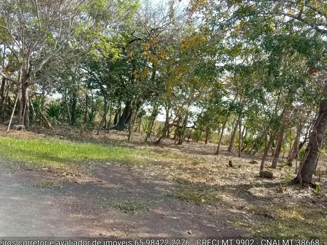 Imagem 4: Sítio de 34 Hectares no Assentamento Comunidade Sadia 3