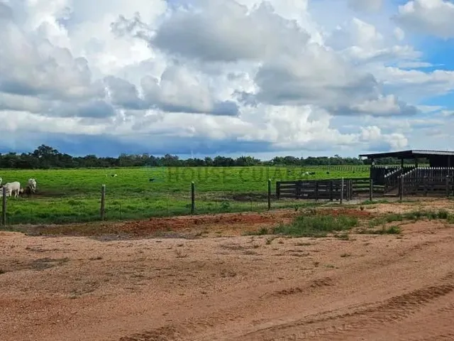 Imagem: Fazenda Sao Vicente a Venda