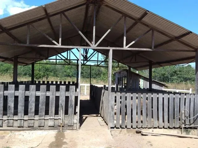 Imagem 10: Sitio com 15 Hectares com Várias Estruturas, 4 Km da Cidade de Nova Mutum Mt