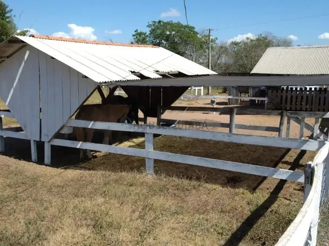 Imagem 6: Sitio com 15 Hectares com Várias Estruturas, 4 Km da Cidade de Nova Mutum Mt
