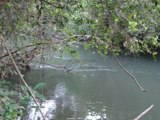 Imagem 15: Sitio com 15 Hectares com Várias Estruturas, 4 Km da Cidade de Nova Mutum Mt