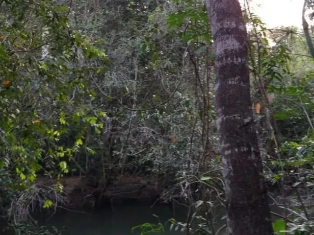 Imagem 5: Sitio com 15 Hectares com Várias Estruturas, 4 Km da Cidade de Nova Mutum Mt