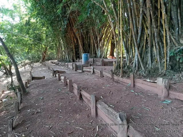 Imagem 4: Vendo!!! Um Sitio com 7,85 Hectares na Beira do Rio Cuiabá, na Região do Baus, 3