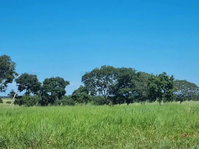 Imagem: Fazenda Premium a 95 Km de Cuiabá Estrutura