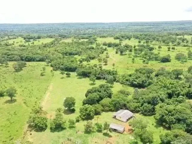 Imagem: Vendo Uma Fazenda de 72 Hectares na Região