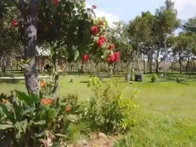 Imagem: Chácara de 4,25 Hectares na Região da