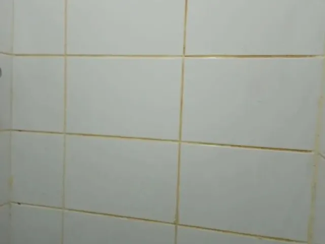 Imagem 8: Loja para Locação em Belém, Umarizal