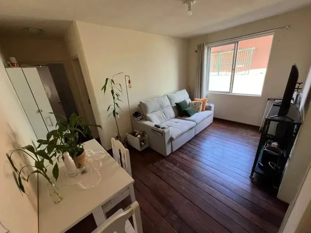 Imagem 8: Apartamento de 1 Dormitório À Venda na Agronômica