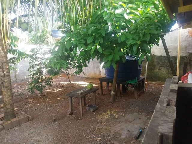Imagem 16: Casa com Ponto Comercial na Sobral