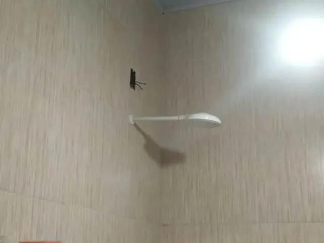 Imagem 3: Casa com Mobília,Placas Solar em Cluso, Não Financio!