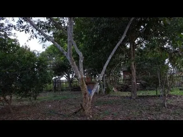 Imagem 8: Imóvel Rural - Aceito Carro