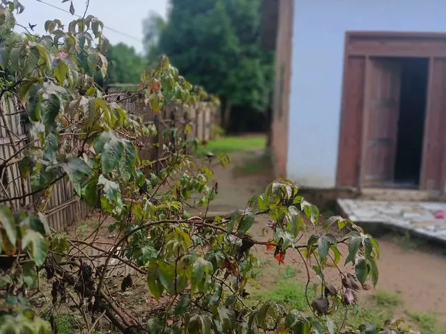 Imagem: Vende Se Uma Casa