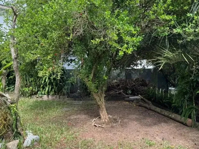 Imagem 13: Aluga-Se Casa Residêncial no Campeche - 3 Quartos