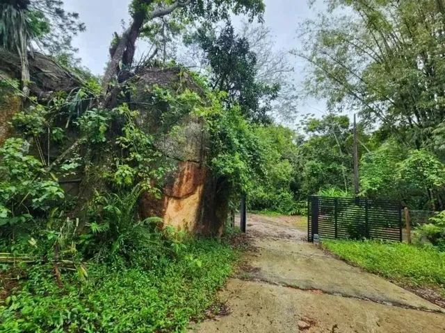 Imagem 9: Casa em Condomínio para Locação em Florianópolis, Campeche, 4 Dormitórios, 4
