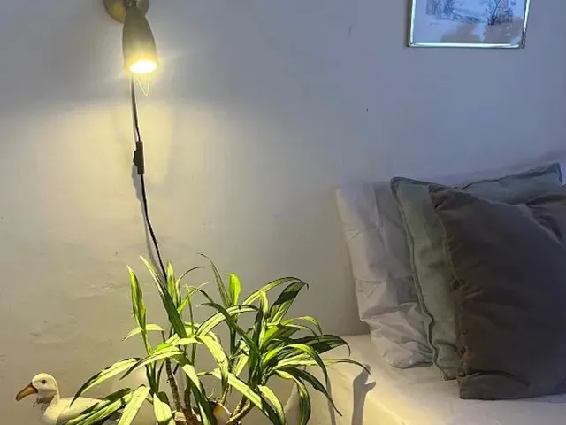 Imagem 4: Quarto Caucaia Centro (Água, Luz e Internet Incluso