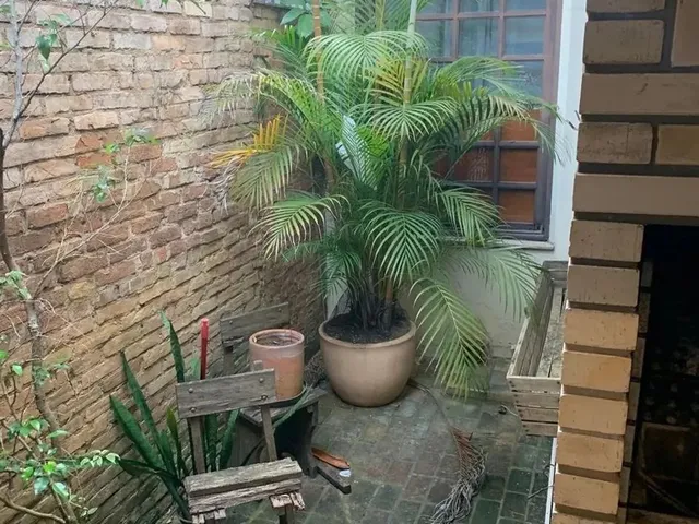 Imagem 3: Casa Residencial/Comercial Próximo Unimed São Leo