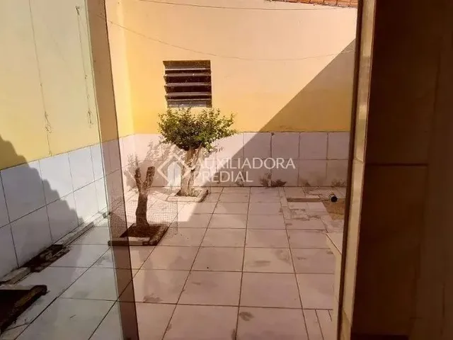 Imagem 12: .