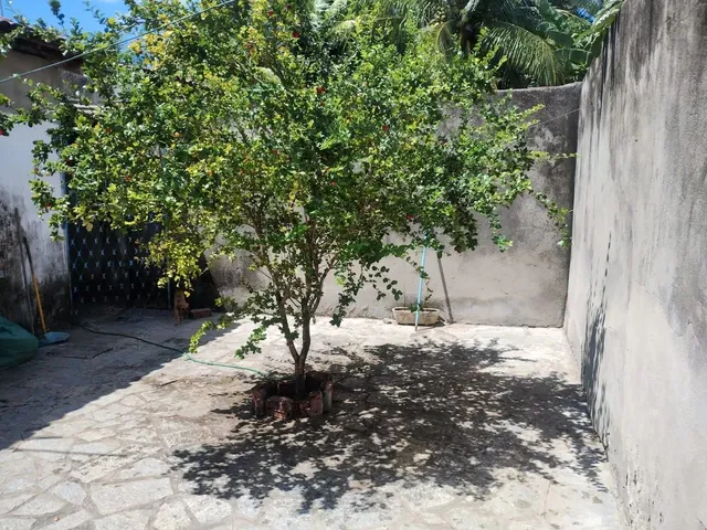 Imagem 16: Aluguel Ou Venda Desta Casa