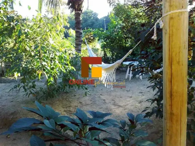 Imagem: Maravilhoso Terreno com Casa em Ilha de