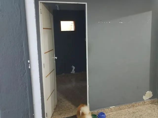 Imagem 4: Casa de 1 Qt Próx À Unig