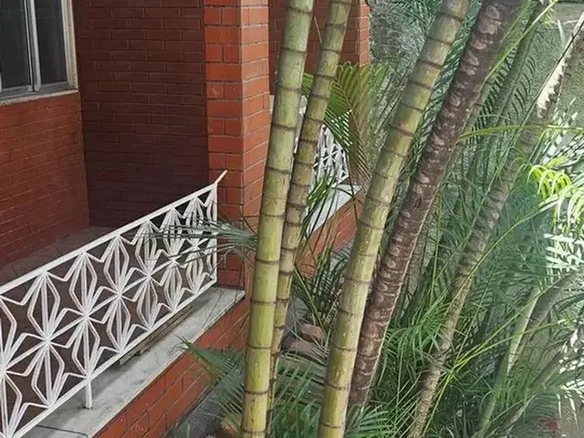 Imagem 15: Excelente Casa com 2 Qtos com 63M2 Área Construída em Olinda / Nilópolis/Rj