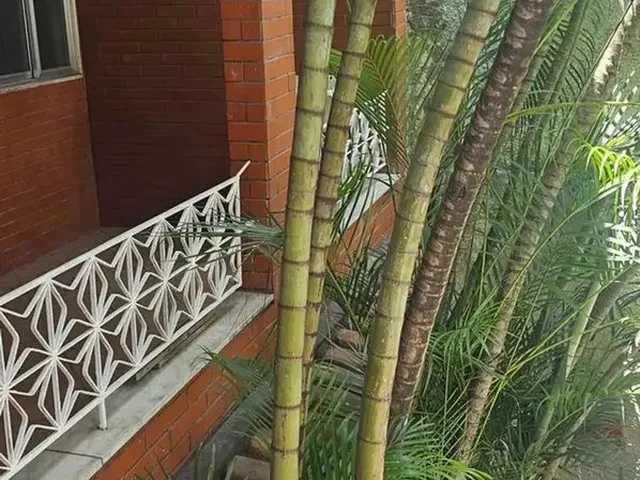 Imagem 9: Excelente Casa com 2 Qtos com 63M2 Área Construída em Olinda / Nilópolis/Rj