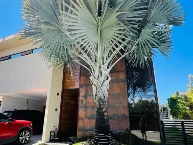 Imagem: Luxo, Conforto e Eficiência Casa Espetacular