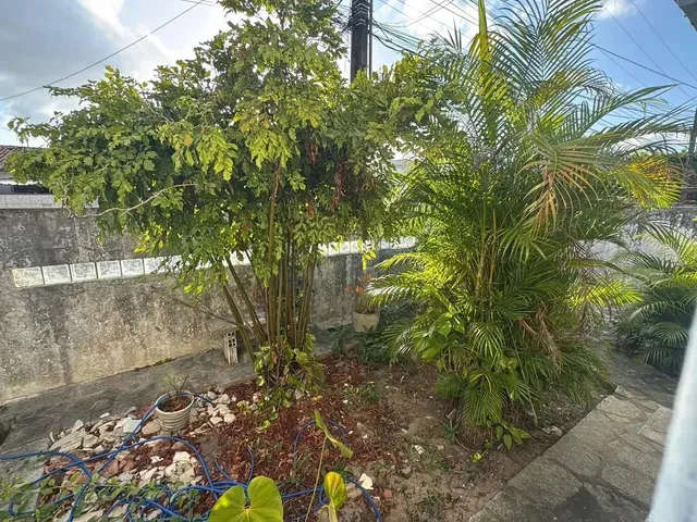 Imagem 11: Vendo Casa em Cruz das Armas