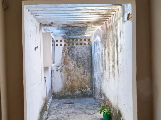 Imagem 9: Vendo Excelente Casa Ernani Sátiro