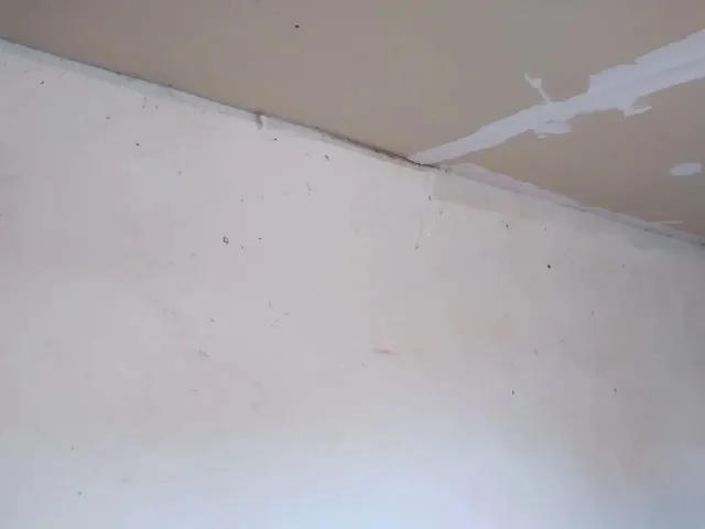 Imagem 2: Alugo Dois Cômodos Básicos e Popular Tudo Incluso