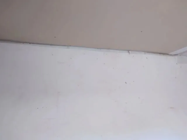 Imagem 3: Alugo Dois Cômodos Básicos e Popular Tudo Incluso