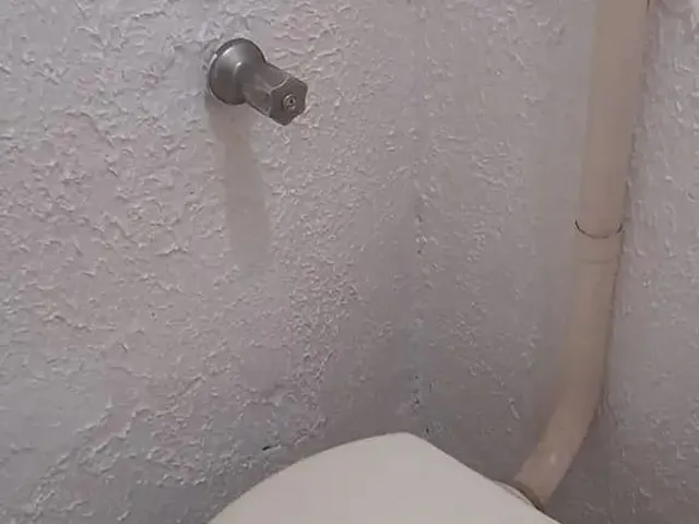 Imagem 3: Apartamento Residencial em Brasília - Df, Samambaia Sul (Samambaia