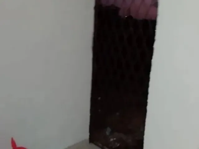 Imagem 2: Casa a Venda no Planalto Logo no Início Depois do Thisalia