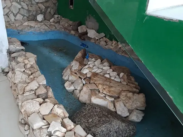 Imagem 2: Casa Ampla À Venda