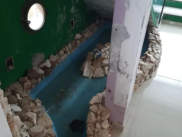 Imagem 3: Casa Ampla À Venda